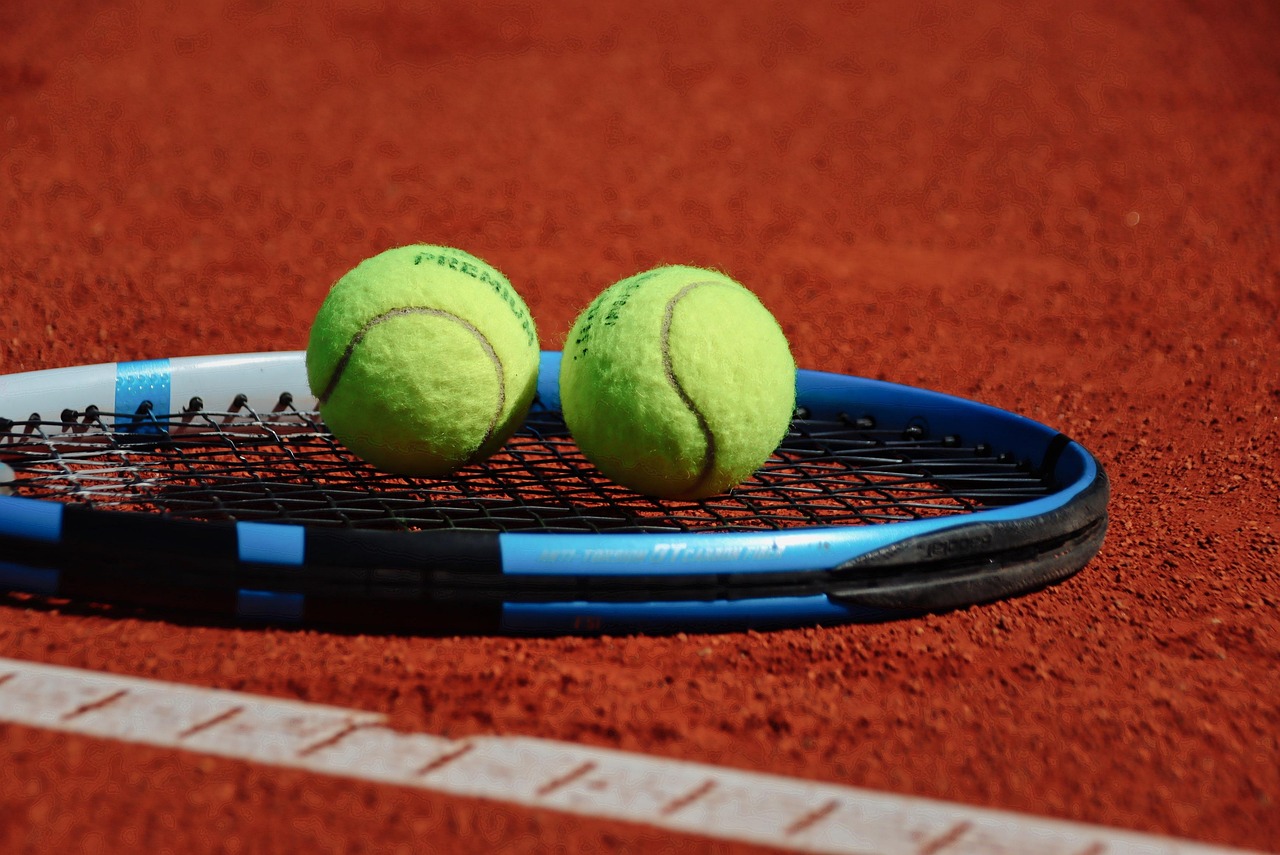 tennis, tennis ball, sports, tennis racket, tennis court, activity, tennis, tennis, tennis, tennis, tennis, tennis ball, tennis racket, tennis court, tennis court, tennis court